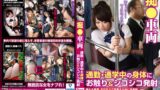 【h_1664pes00102】痴●車両 通勤・通学中の身体にお触り＆シコシコ発射2枚組