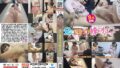 【nsfs00335】夫は知らない衝撃の秘め事・・「義兄」「義父」と乱交していた嫁 長瀬麻美