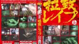 【h_921ts00015】隠撮 拉致レ●プ