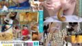 【1silk00169】Romantic album page2